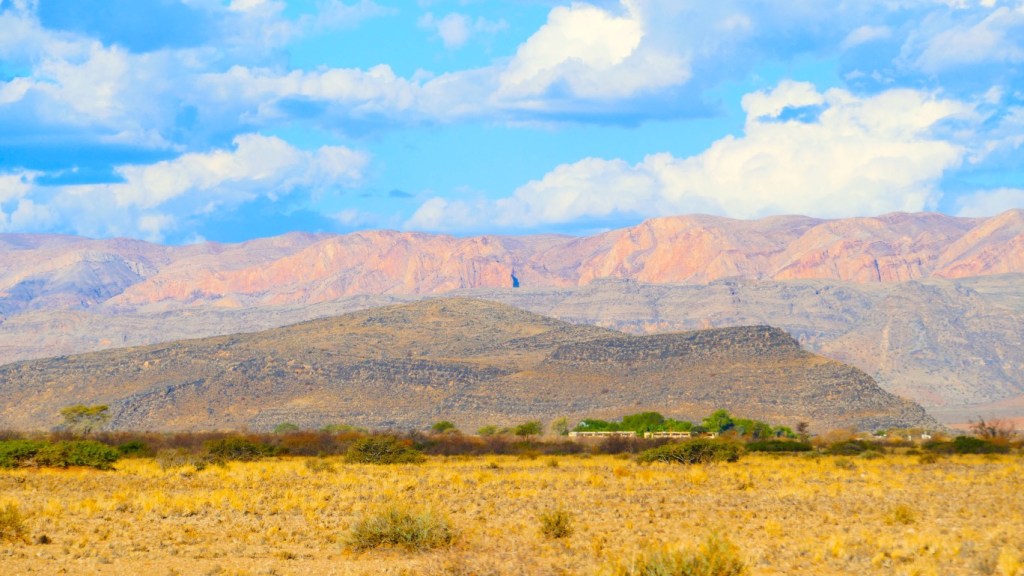 Weltevredeslide00013